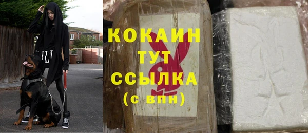 дживик Слюдянка