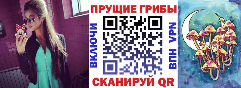 Купить где  Набережные Челны  Псилоцибиновые грибы мухоморы 