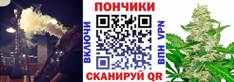 Купить закладки  Набережные Челны  Бошки Шишки THC 21% 